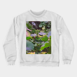 Botanical Study Crewneck Sweatshirt